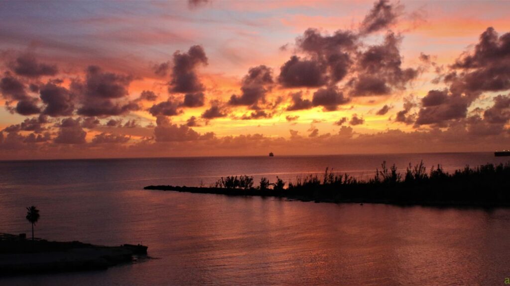 A vibrant sunset over a calm sea with silhouetted clouds and distant trees lining the horizon.