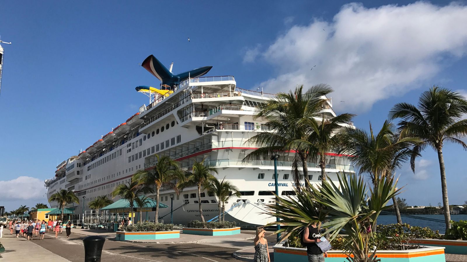 A large cruise ship docked at a tropical port with palm trees and people walking along the pier under a clear, blue sky.