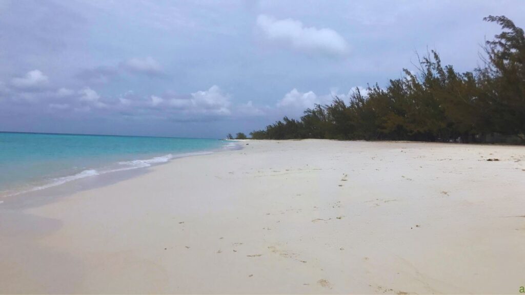 A serene beach with white sand, turquoise water, and a line of trees under a cloudy sky.