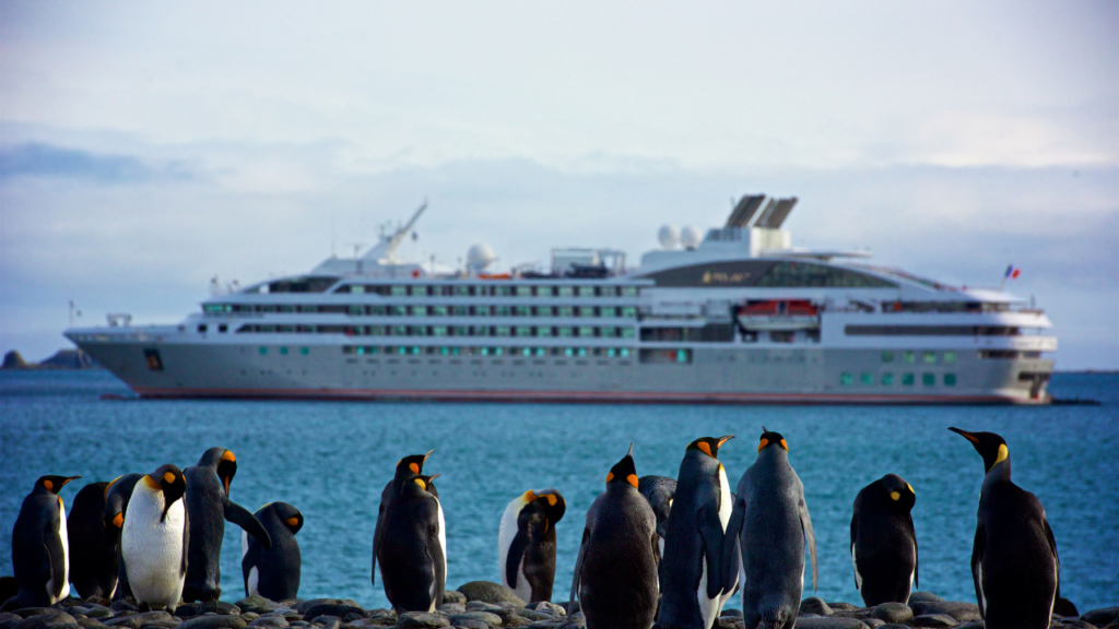 Penguins standing on rocks with a cruise ship in the background on the ocean.