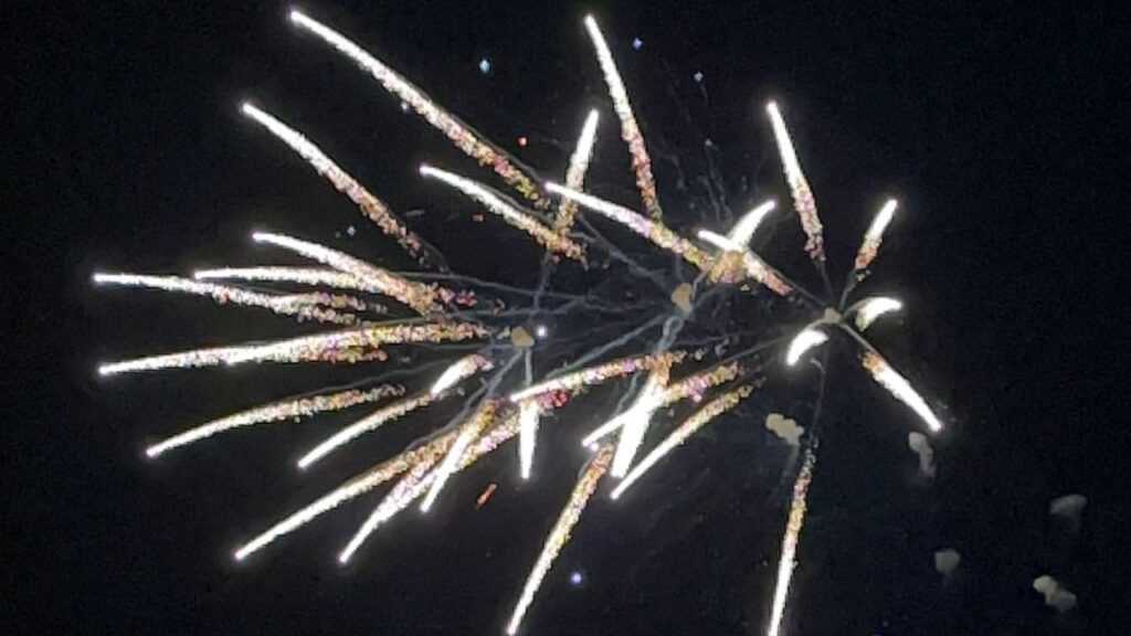 Bright fireworks with multiple streaks light up the dark sky.