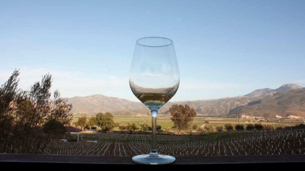 A glass of white wine on a balcony overlooks vineyards and distant mountains under a clear blue sky.