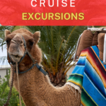 Camel with colorful blanket, palm trees in background, text: "Cabo Cruise Excursions.