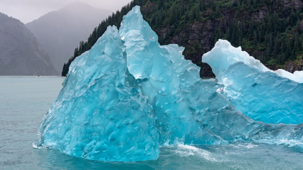 A blue iceberg floats in a misty fjord with a forested mountain in the background.