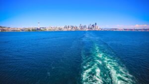 Vibrant blue waters with a wake trail and city skyline in the distance under a clear blue sky.