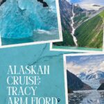 Collage of Alaskan fjords with icebergs, glaciers, and mountains; text reads "Alaskan Cruise: Tracy Arm Fjord.