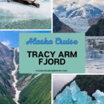 Collage of Tracy Arm Fjord scenes: seal on ice, snowy mountains, waterfall, and turquoise iceberg. Text: "Alaska Cruise.